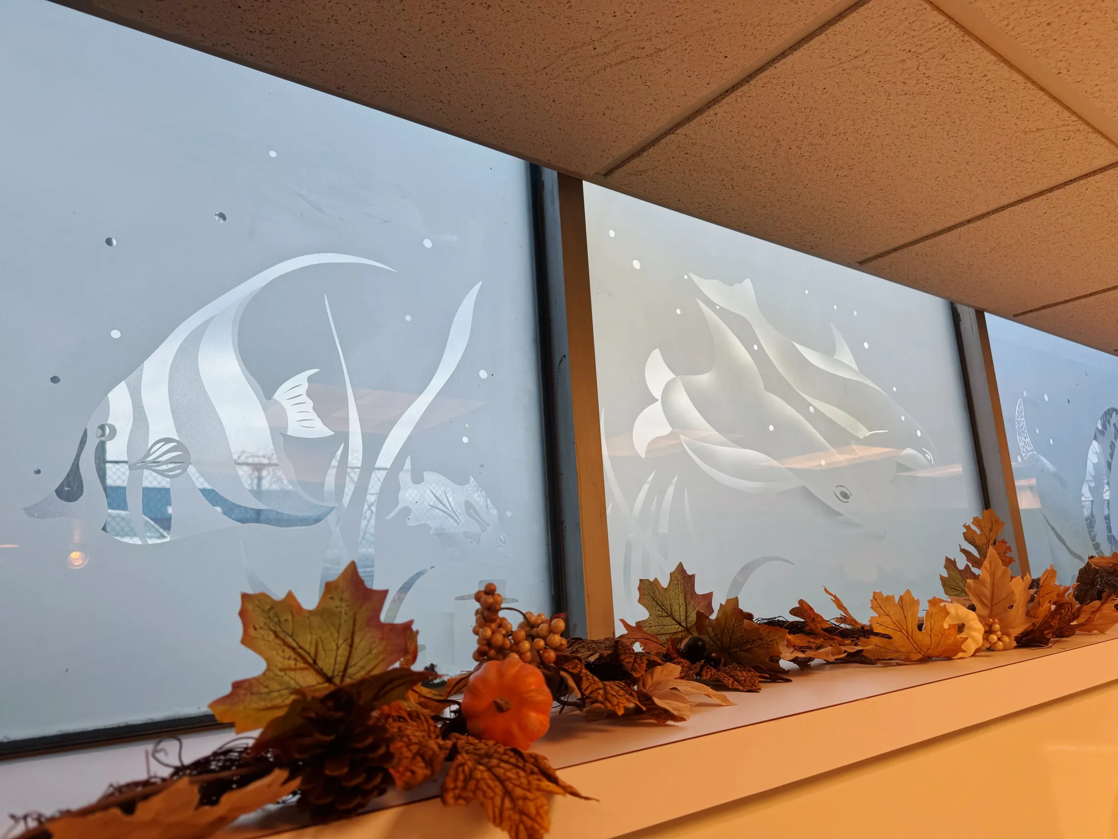 Top Orthodontics Office Long Island Window